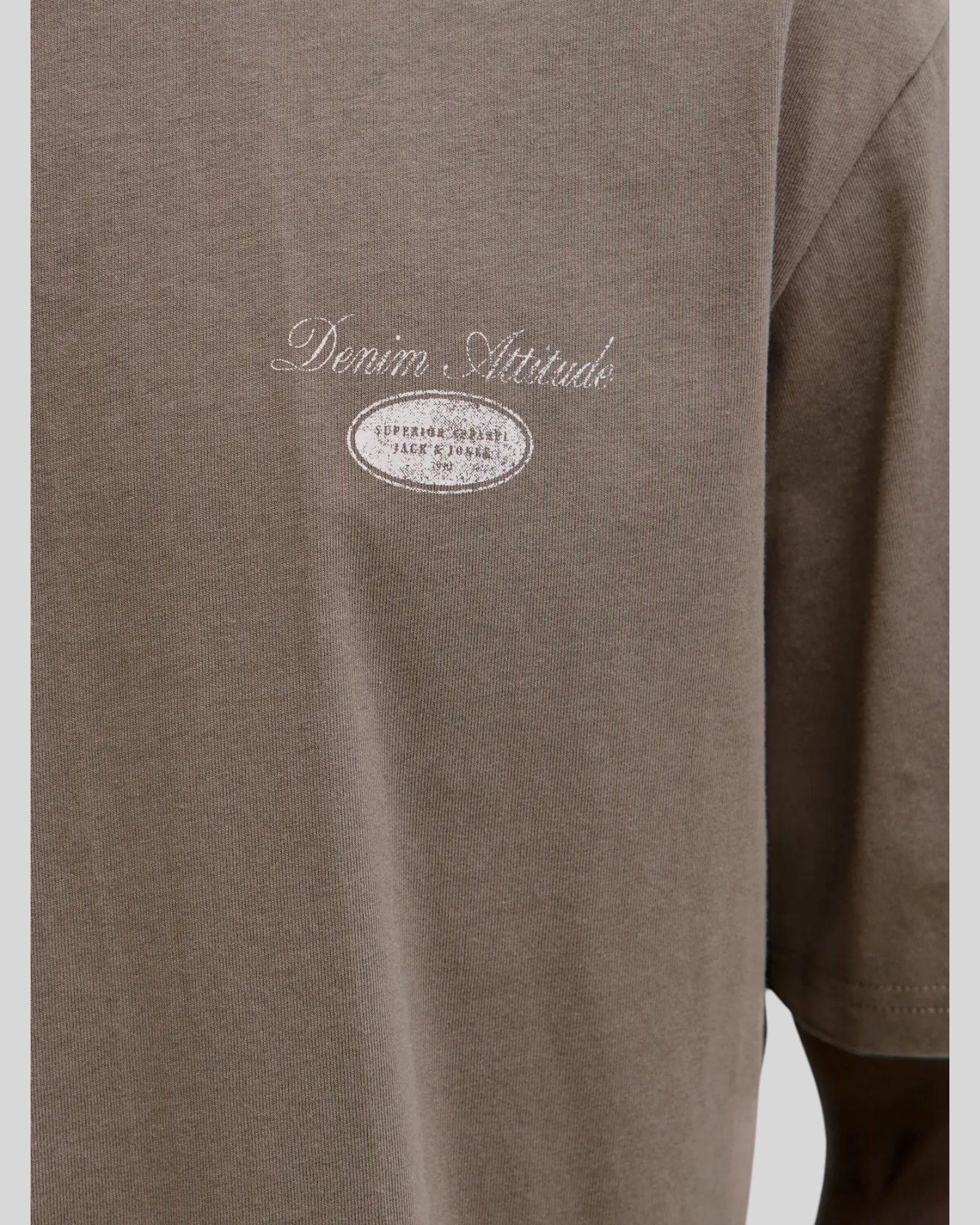 T-Shirt Jjedover Graphic Tee Crew Neck Falcon 12288005 Jack & Jones