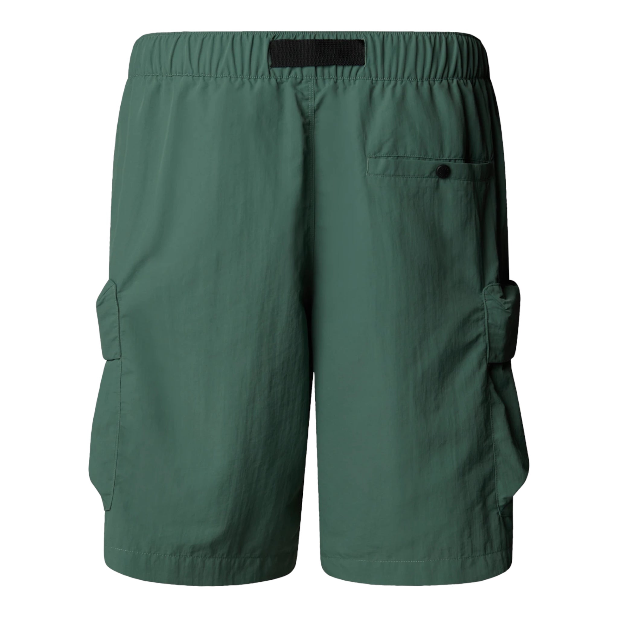 Shorts Cargo Pocket Duck Green NF0A8BJGHCH The North Face