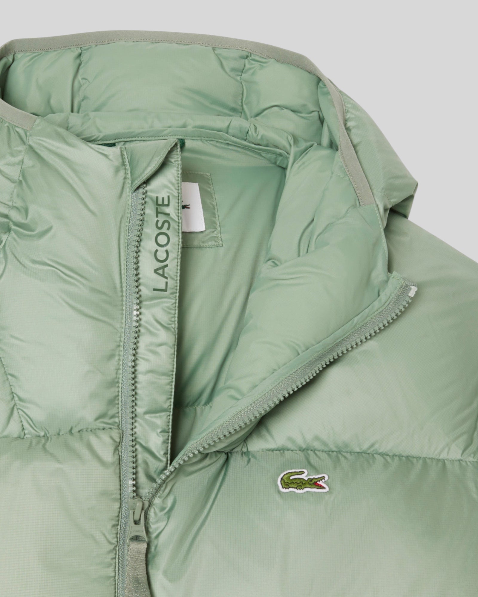 Giubbotto Con Cappuccio Verde BH2905-00-S86 Lacoste