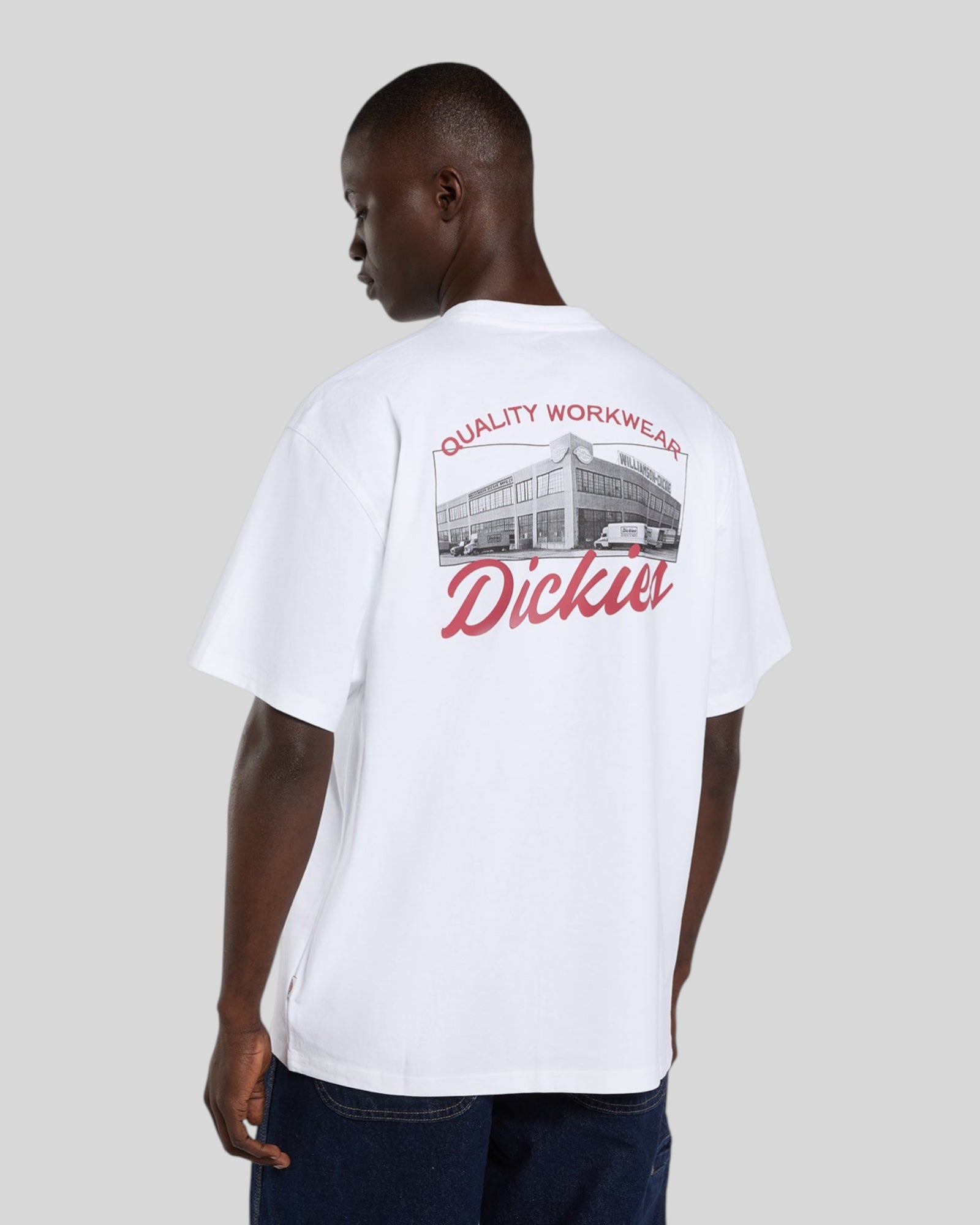 T-Shirt Wellsville SS Tee Retro Bianco DK0A88860WH1 Dickies