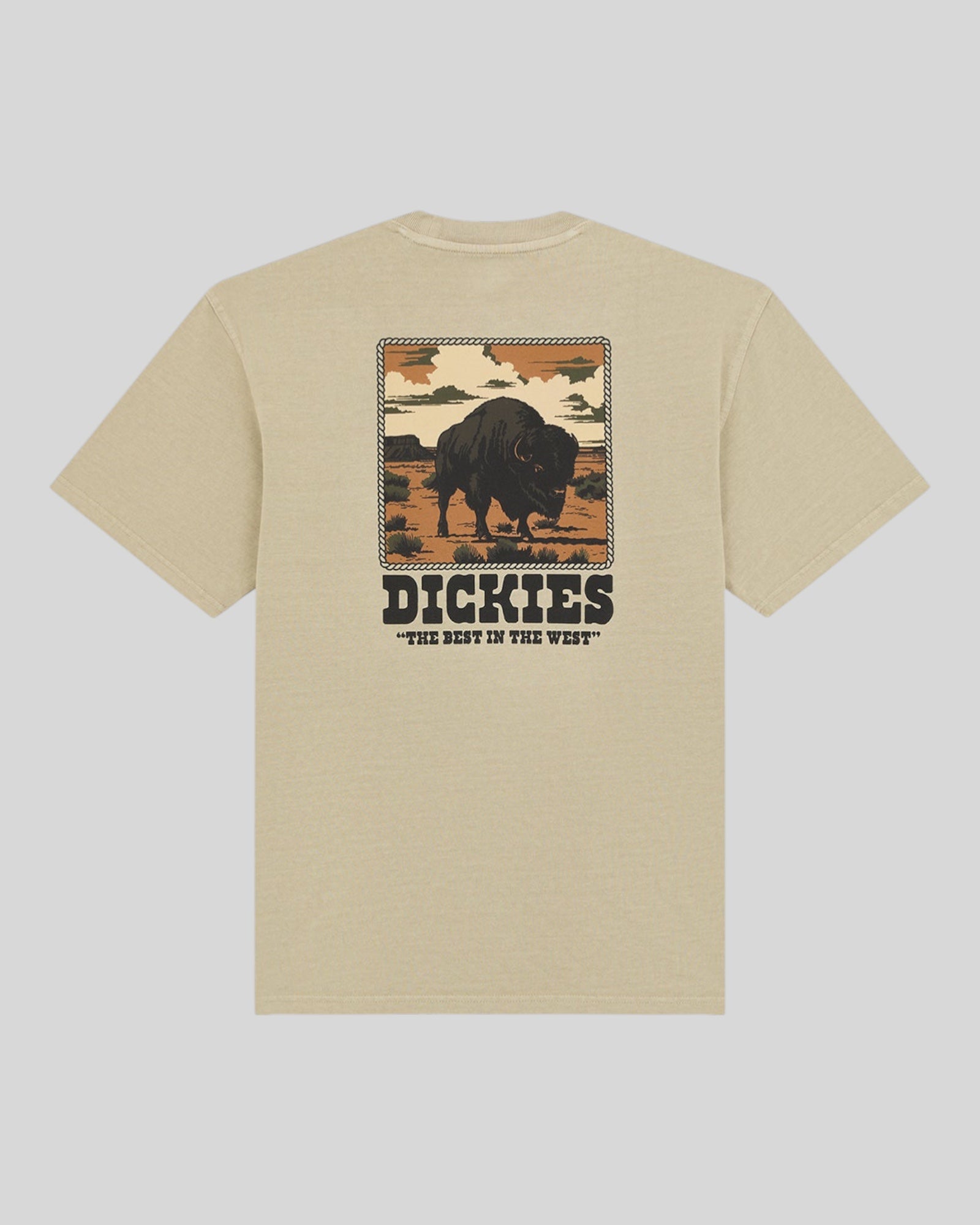 T-Shirt Darrtown SS Tee Beige DK0A88QQL441 Dickies
