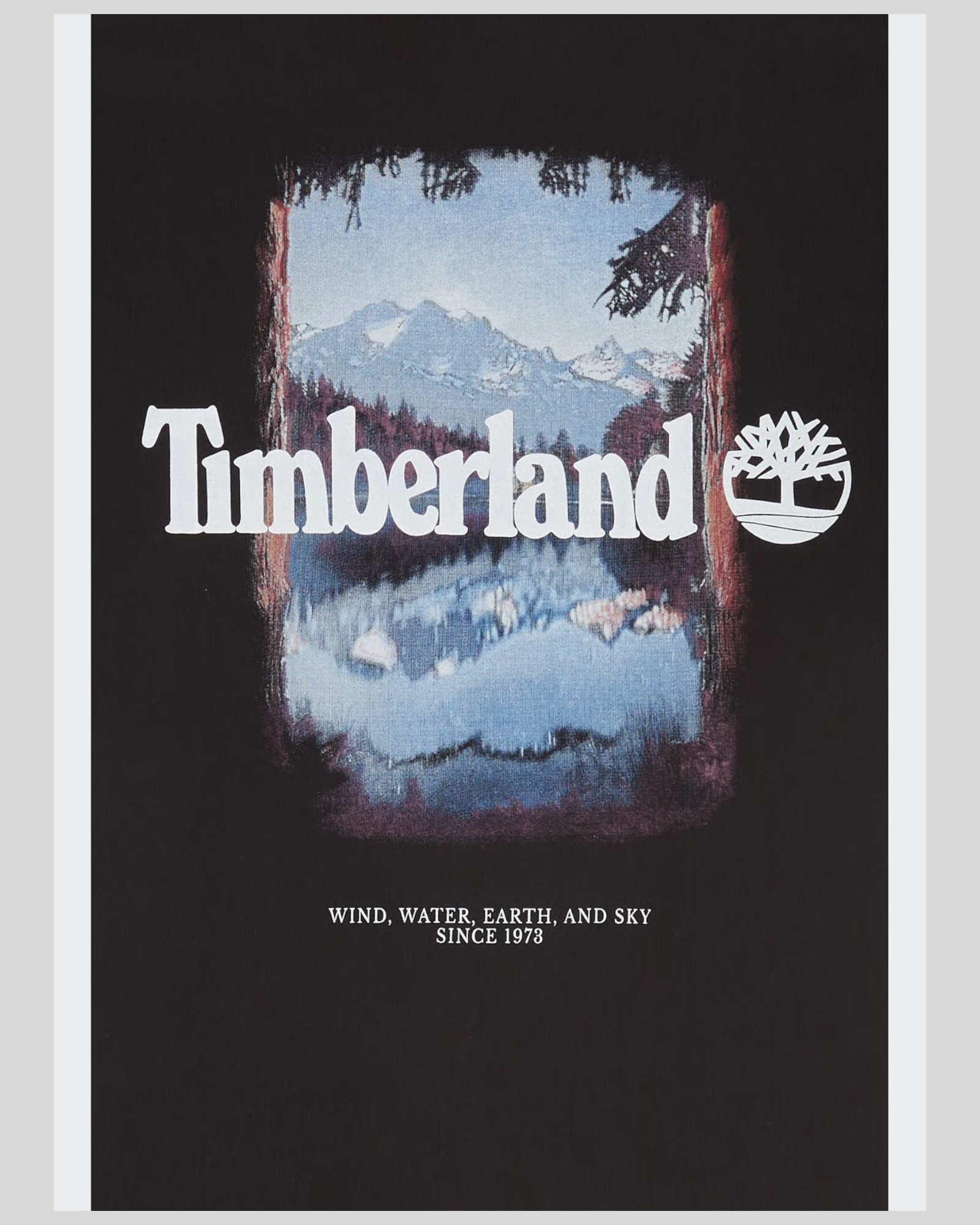 T-Shirt Outdoor Photo Back Tee Nero TB0A5MQR 001 Timberland