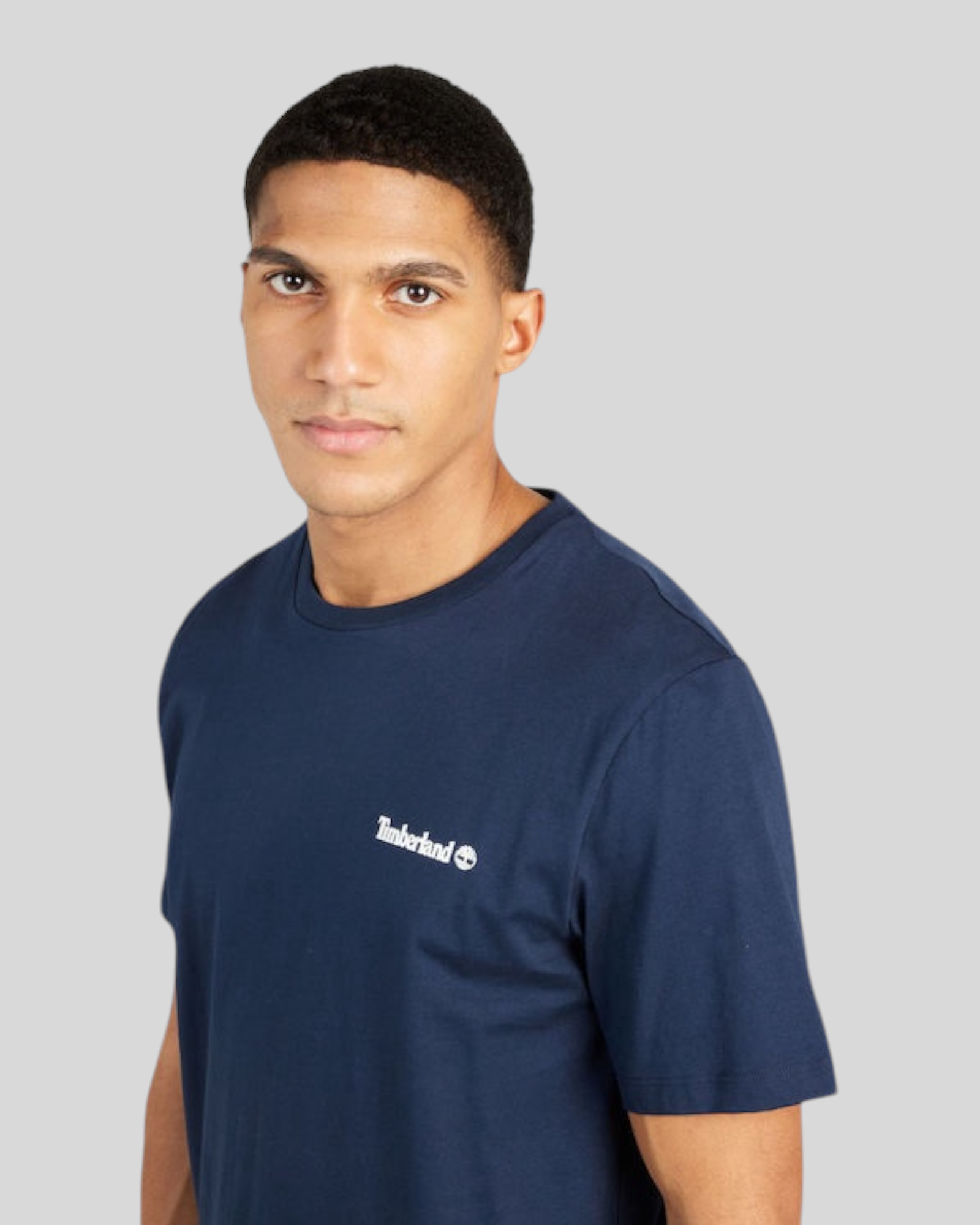 T-Shirt Small Linear Logo Blue TB0A5QQT433 Timberland