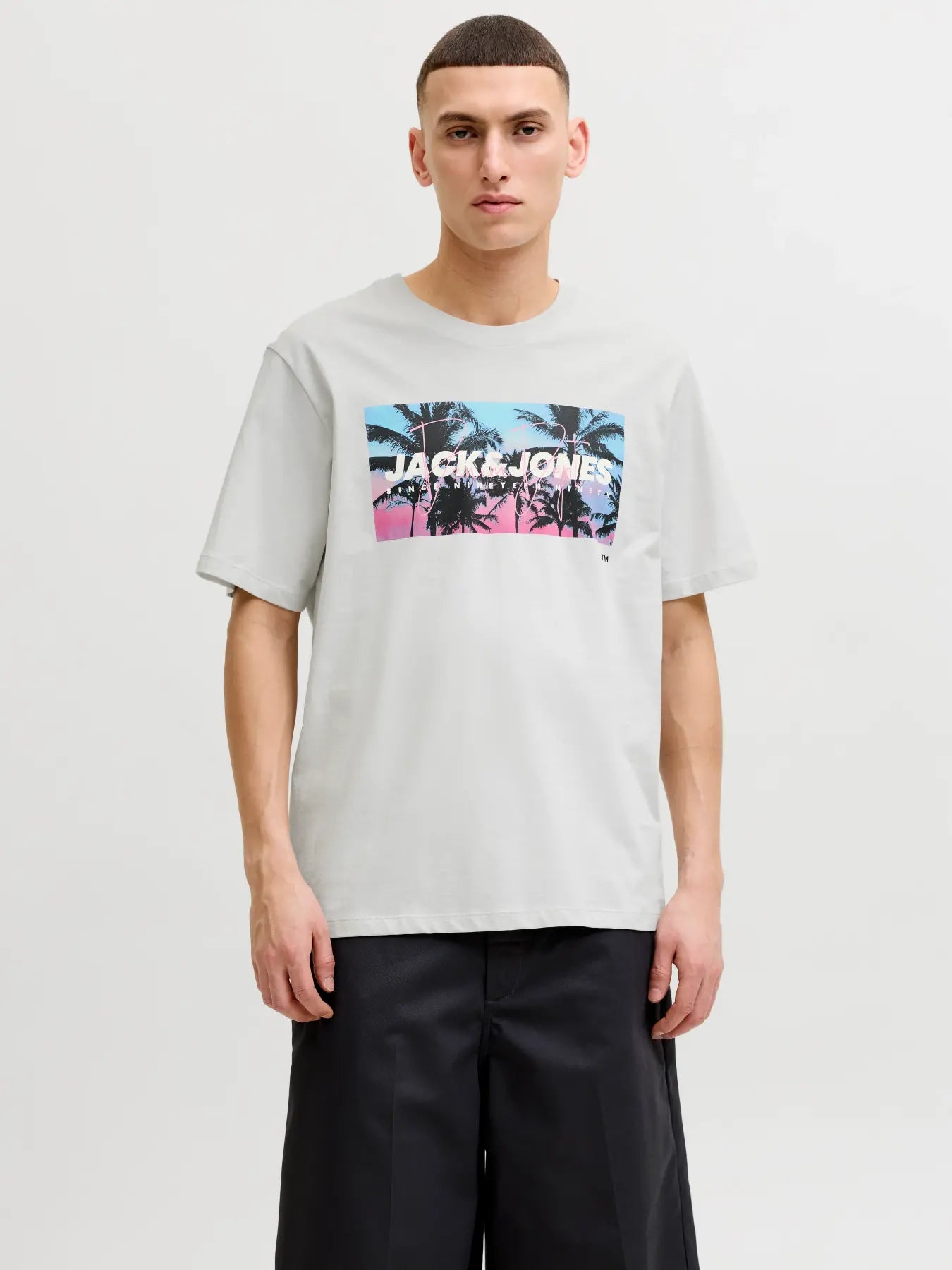 T-Shirt Jjindiana Tee SS Glacier Grey 12288112 Jack & Jones