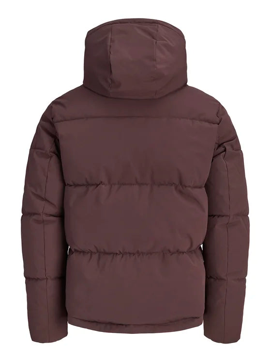 Giubbino Jack & Jones Galaxy Puffer Java Marrone 12303930
