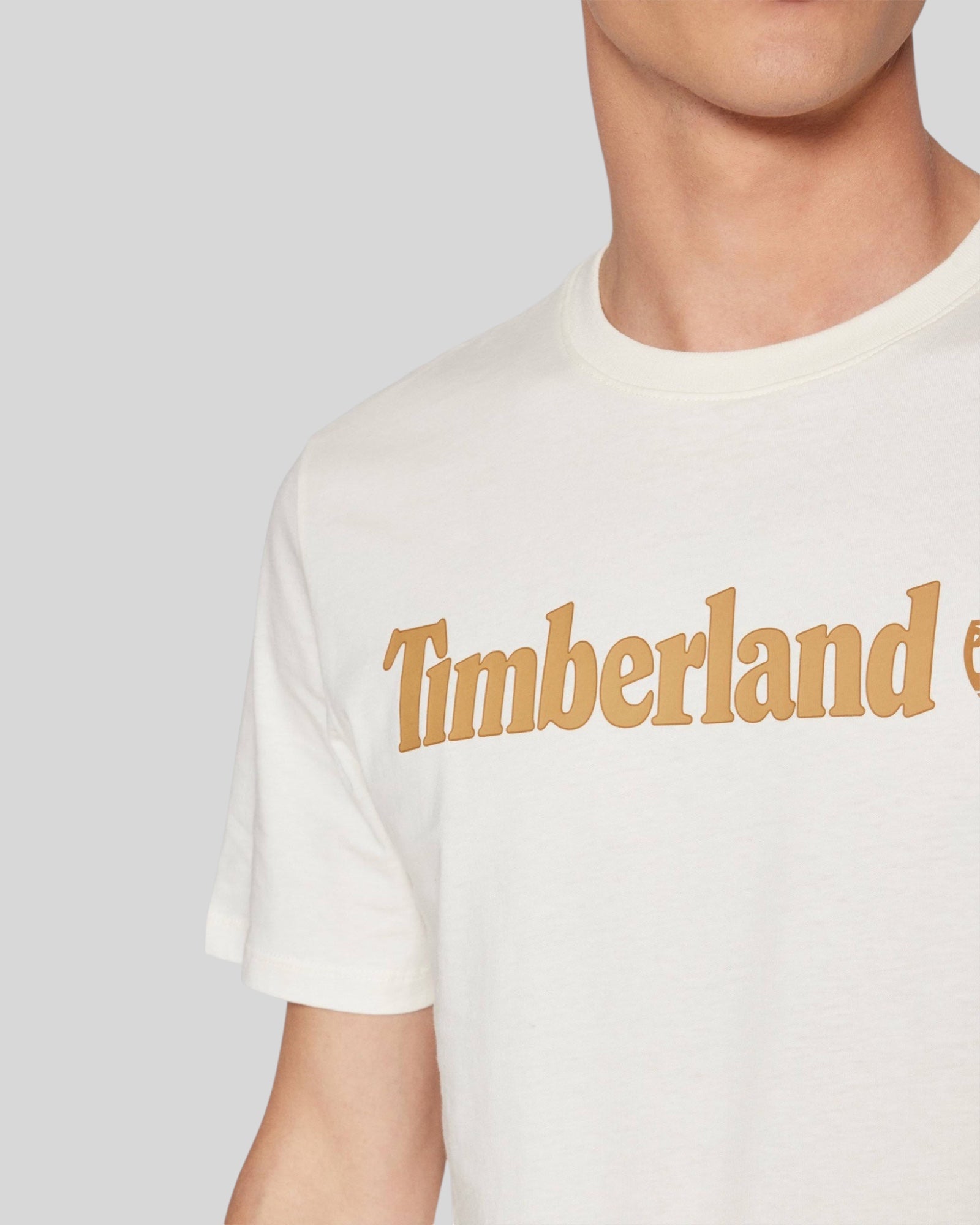 T-Shirt Linear Logo Tee Bianca TB0A5UPQ CM9 Timberland