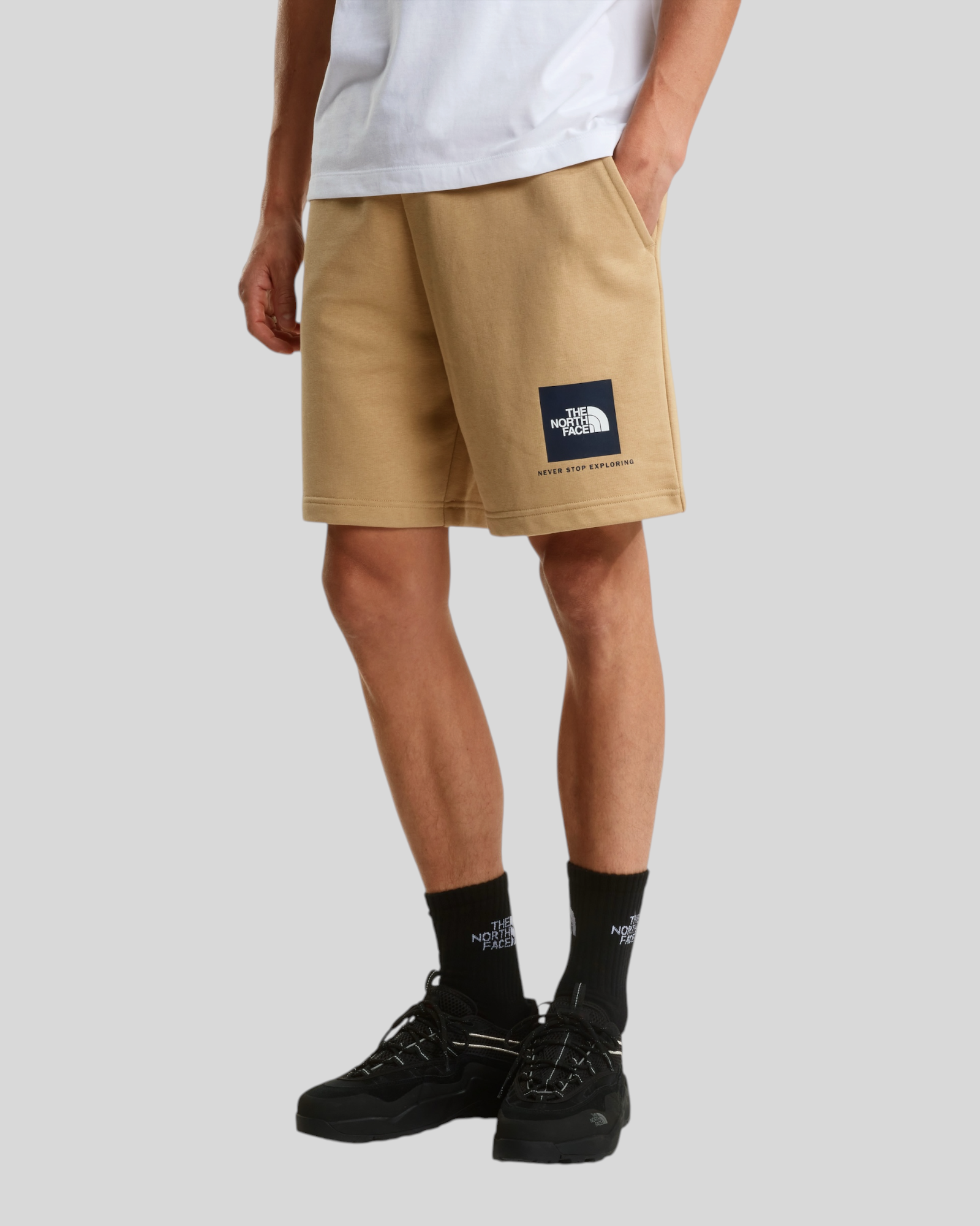 Short NSE Box Light Regular Khaki Stone NF0A8GQ8LK5 The North Face