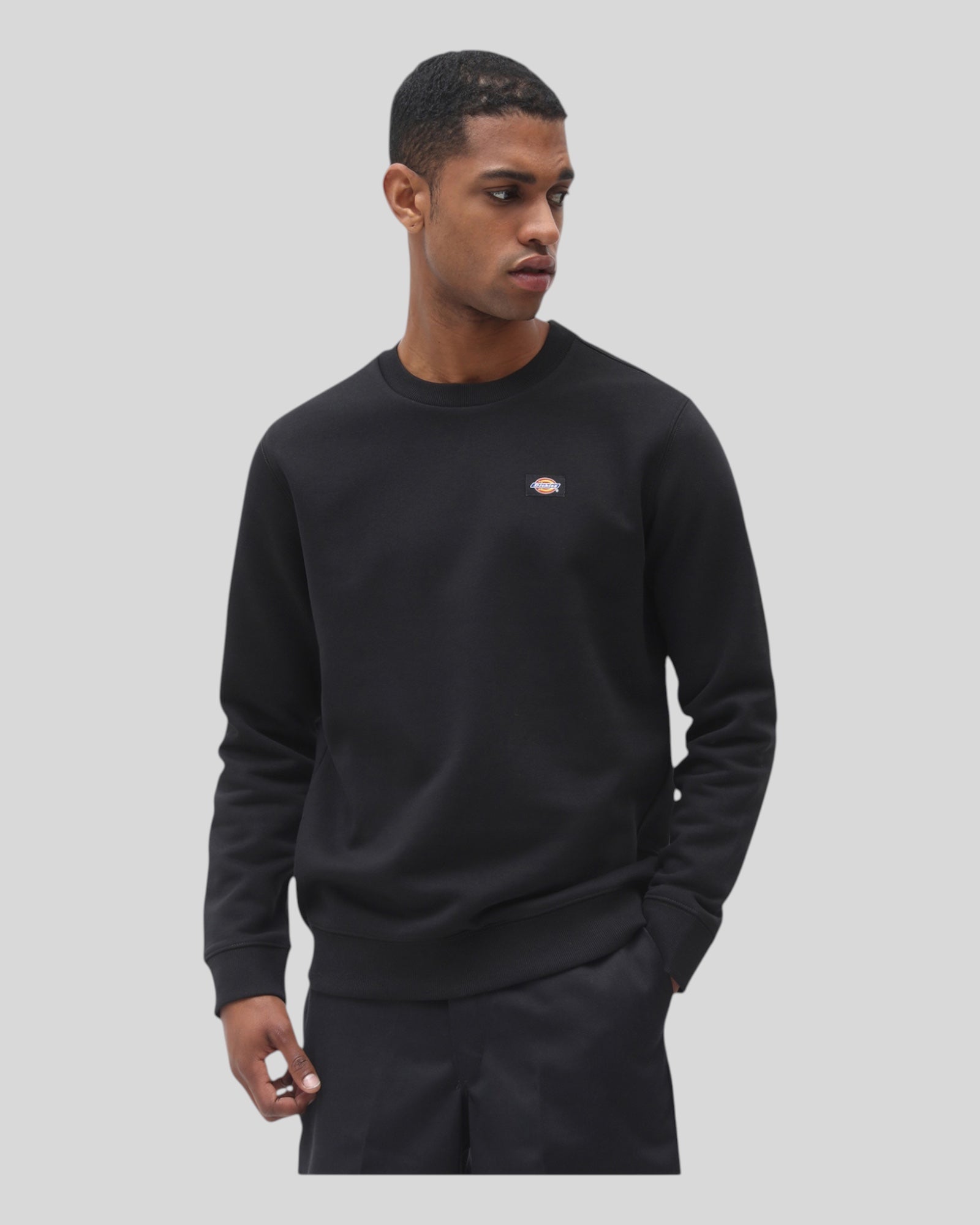 Dickies Oakport Crewneck Sweatshirt Black DK0A4XCEBLK1 