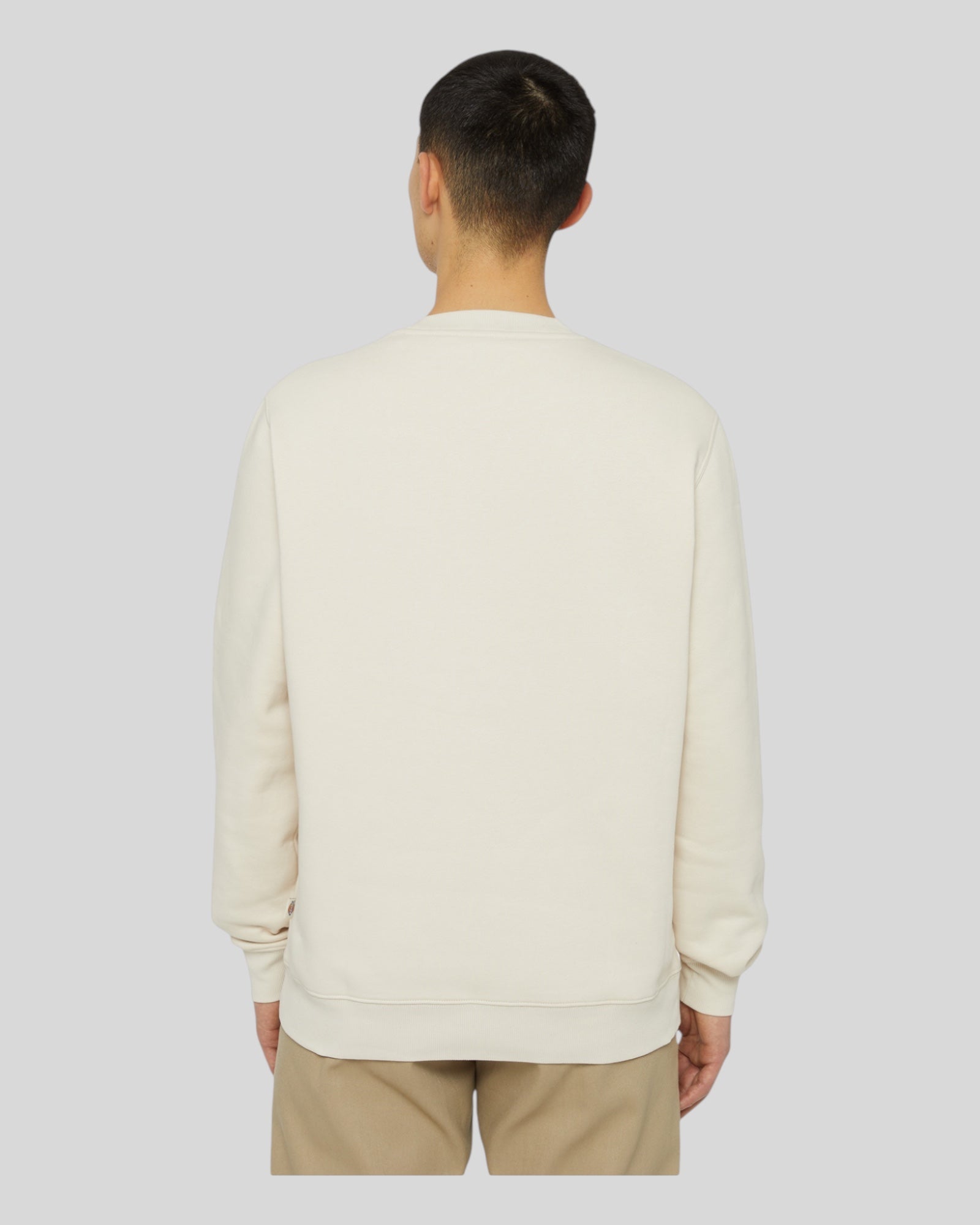 Dickies Oakport Crewneck Sweatshirt Cream DK0A4XCEF901 