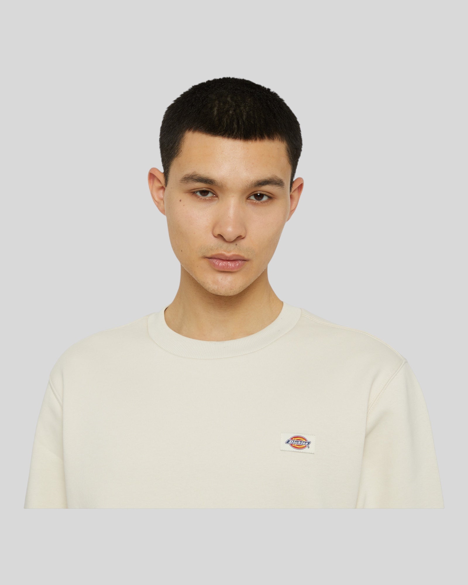 Dickies Oakport Crewneck Sweatshirt Cream DK0A4XCEF901 