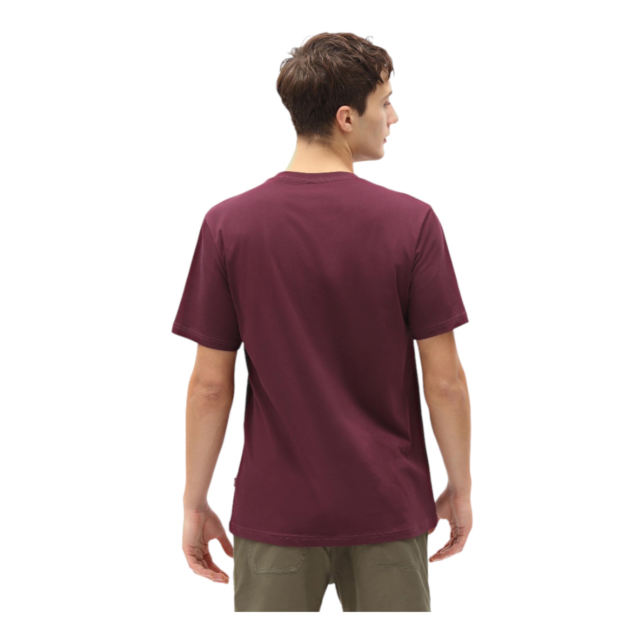 Basic T-Shirt Mapleton Tee Bordeaux DK0A4XDBMR0 Dickies