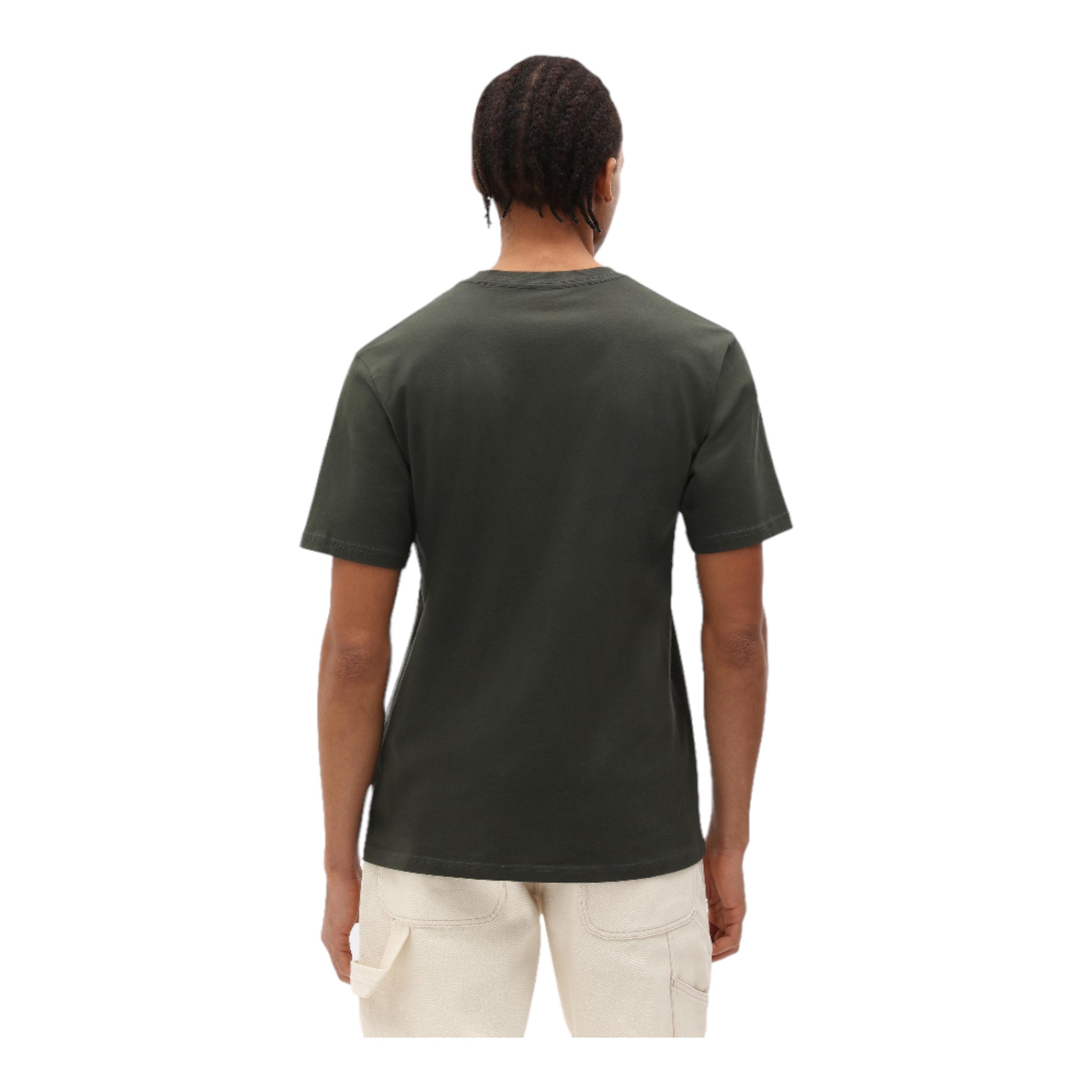T-Shirt Basic Mapleton Tee  Verde DK0A4XDBOGX Dickies
