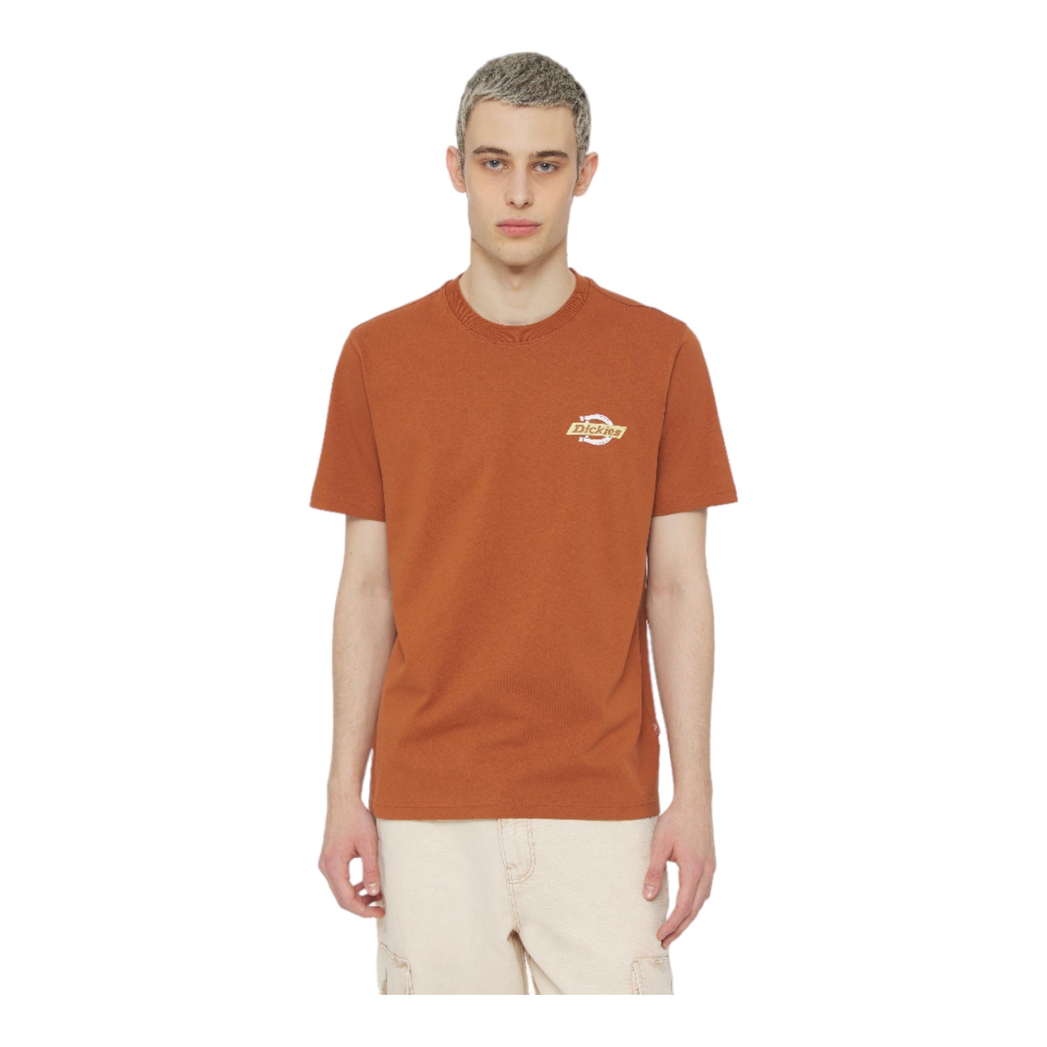 T-Shirt Ruston Tee Rust DK0A4XDCH161 Dickies