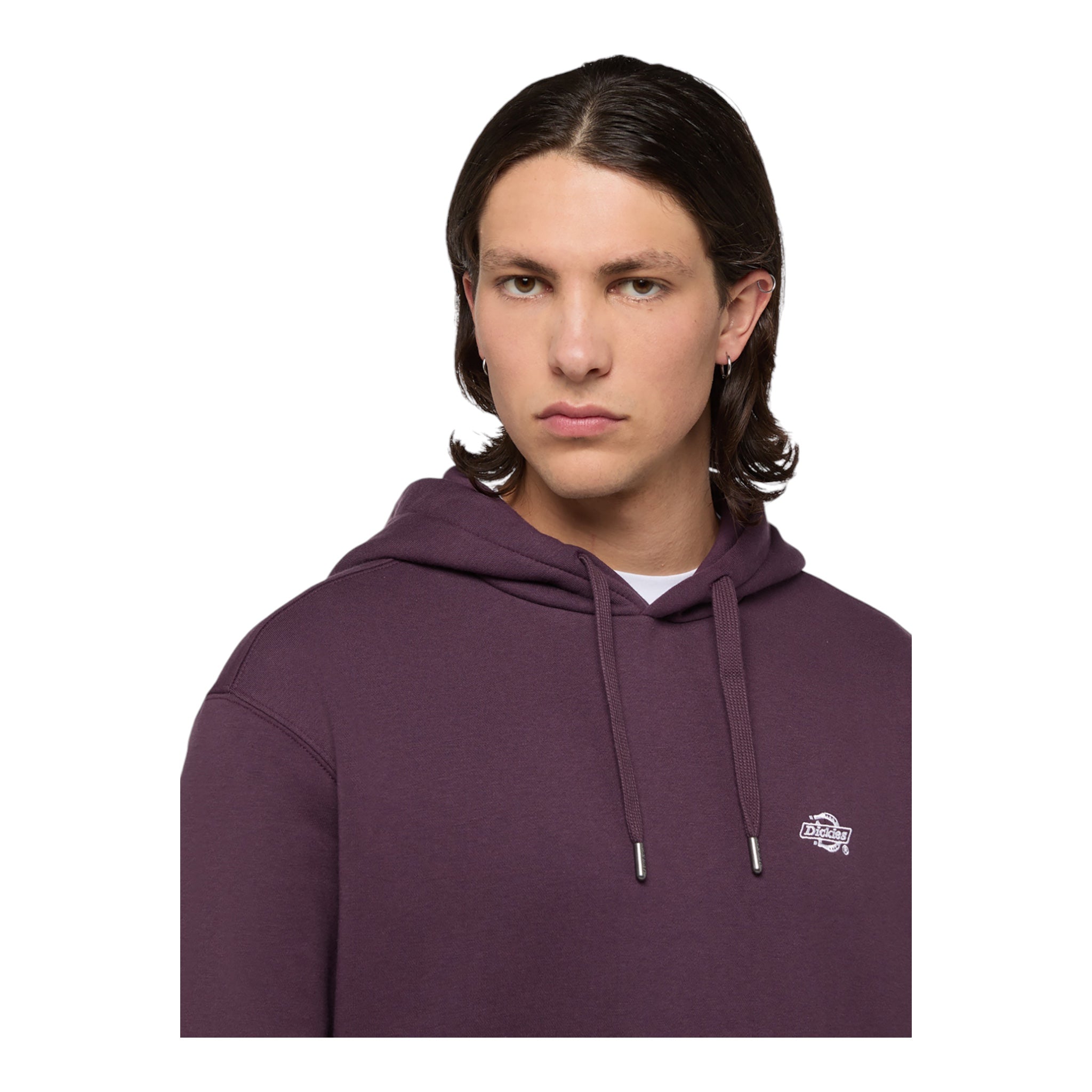 Felpa Con Cappuccio Summerdale Hoodie Prugna DK0A4Y6PJ561 Dickies