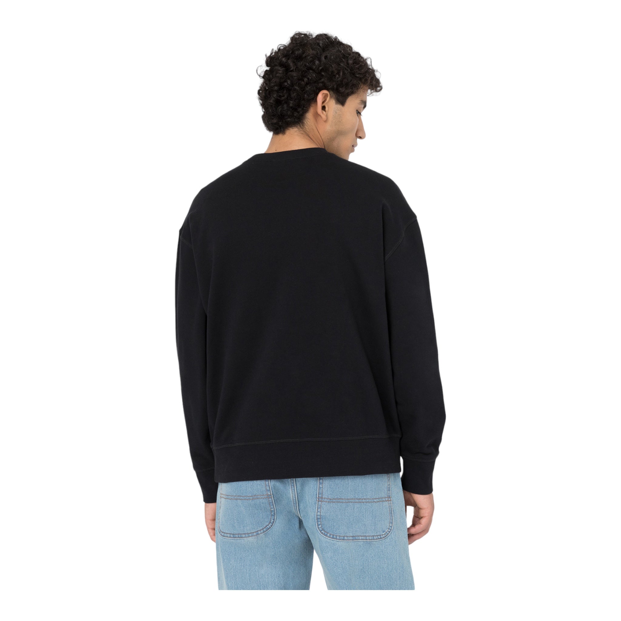 Millersburg Crew Black Sweatshirt DK0A4YLZBLK1 Dickies