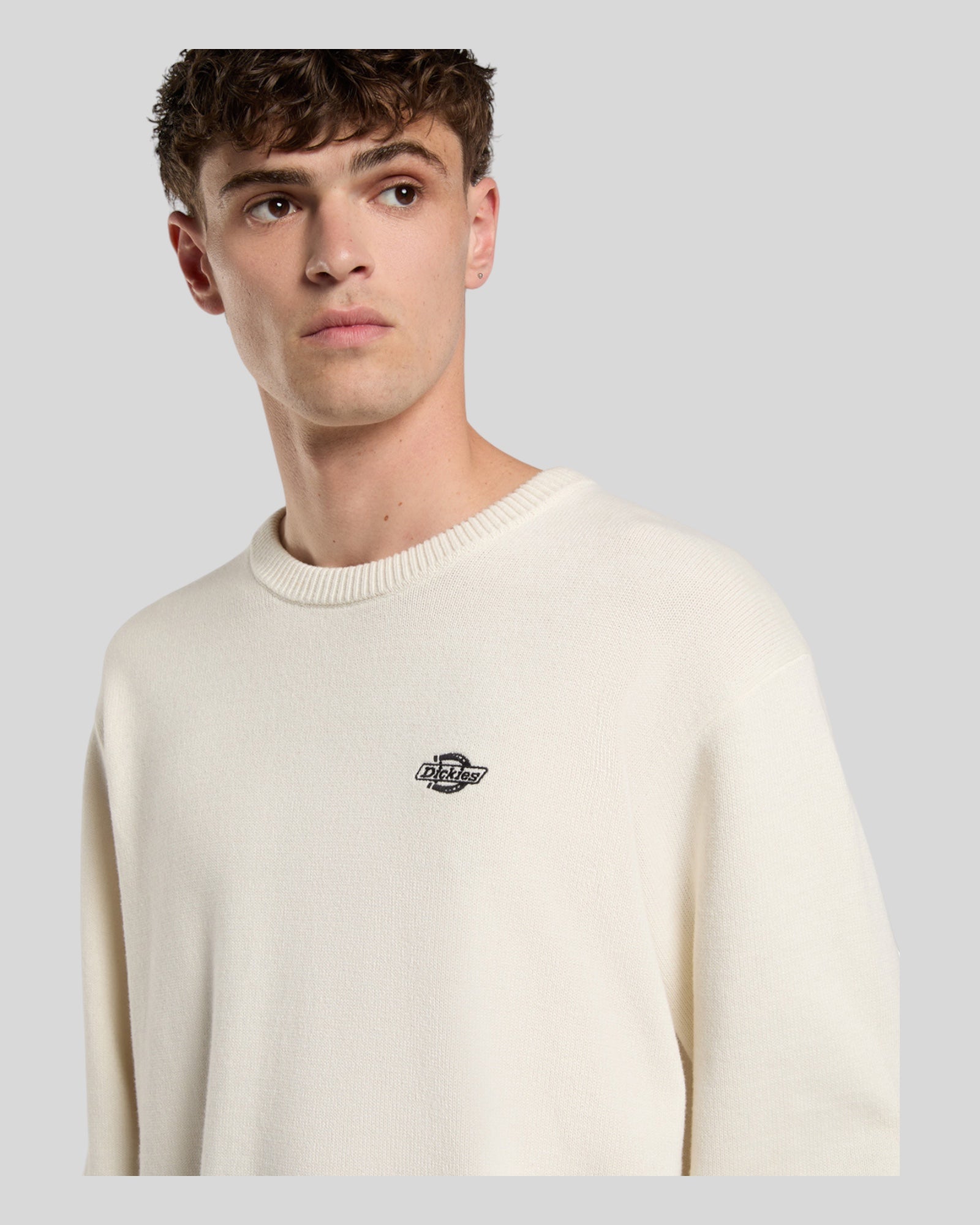 Maglione Girocollo Summerdale Sweater Crema DK0A87OPC48 Dickies