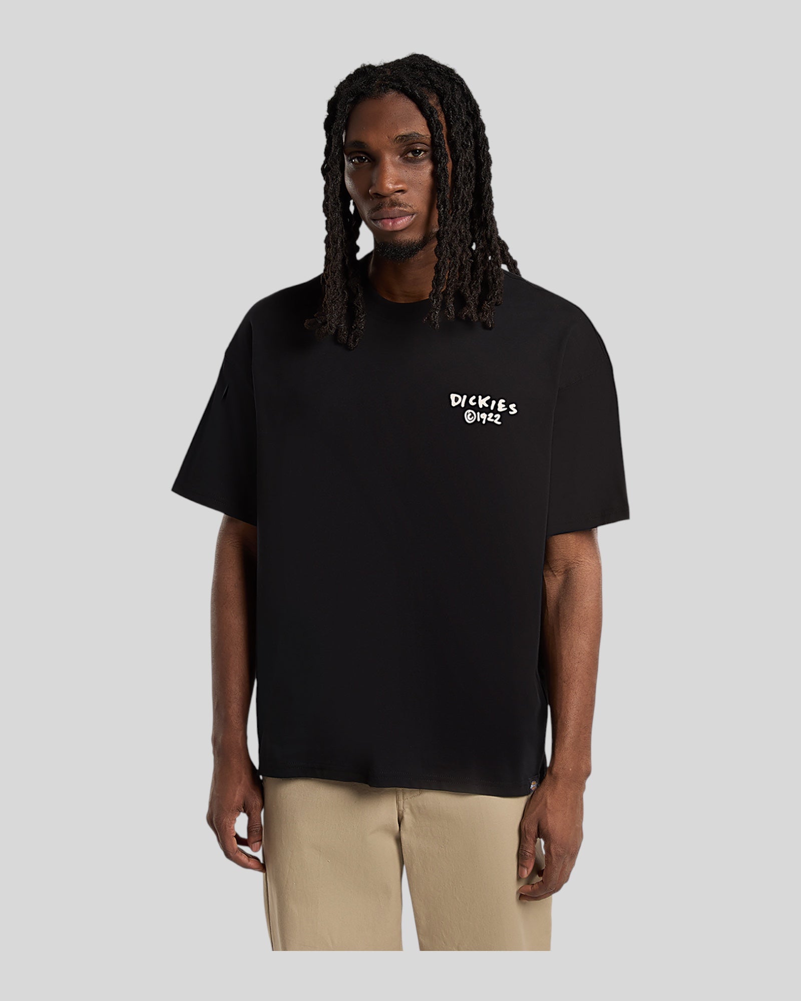 T-Shirt Snedville Tee SS Nero DK0A87QOBLK1 Dickies