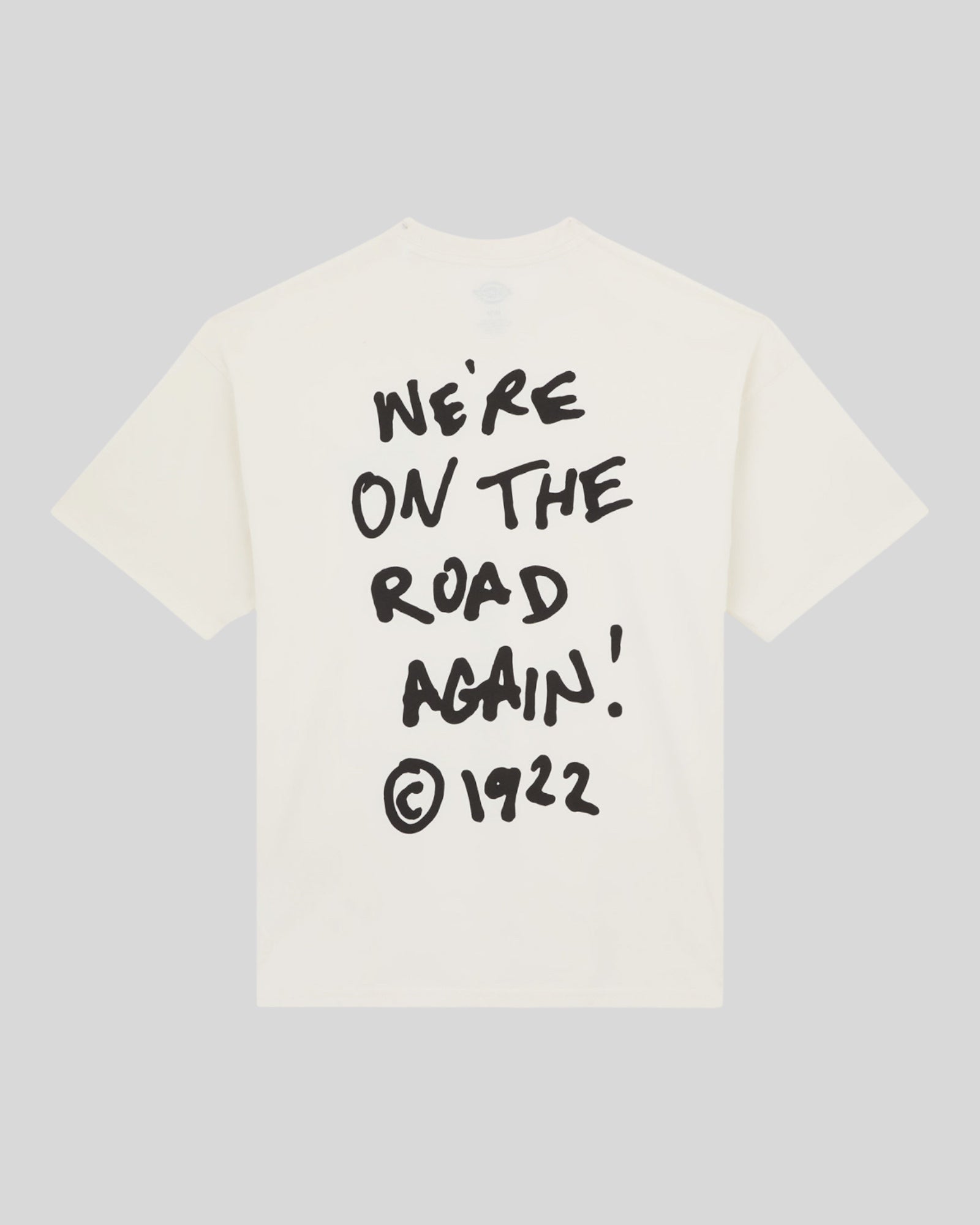T-Shirt Snedville Tee SS Crema DK0A87QOC481 Dickies