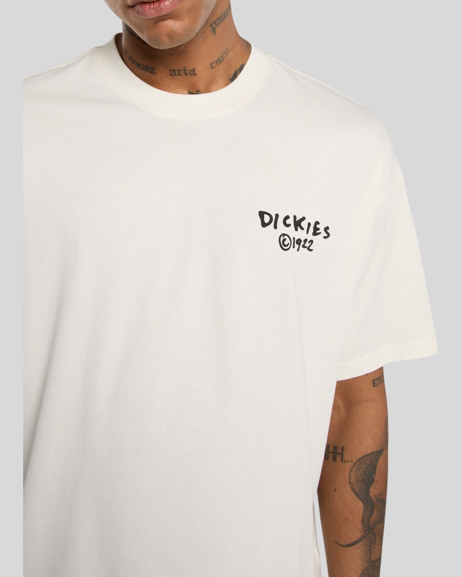 T-Shirt Snedville Tee SS Crema DK0A87QOC481 Dickies