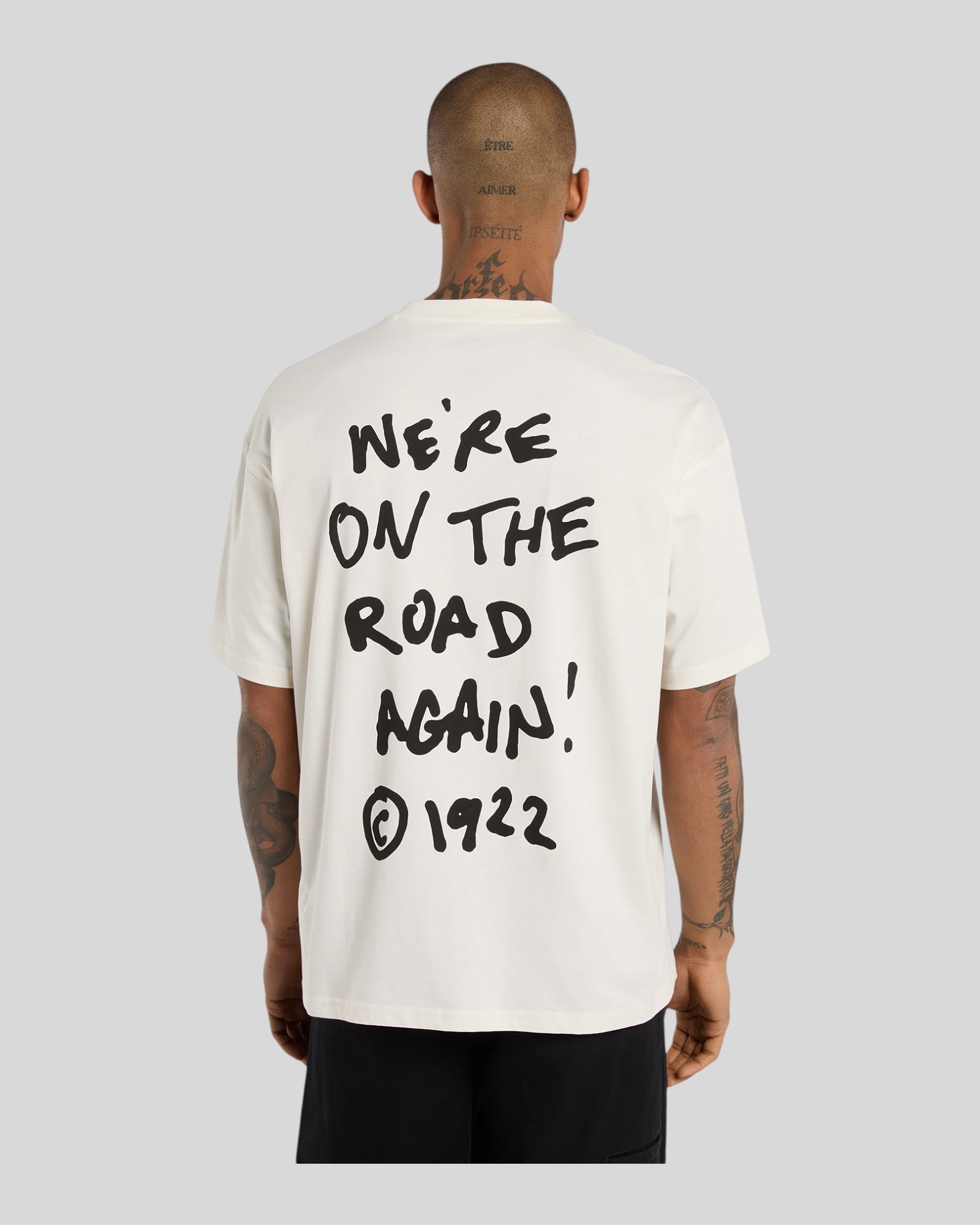 T-Shirt Snedville Tee SS Crema DK0A87QOC481 Dickies