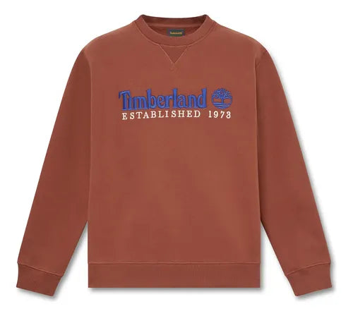 Felpa Uomo Marrone Established 1973 Embroidered Logo TBC0YHB7AIM