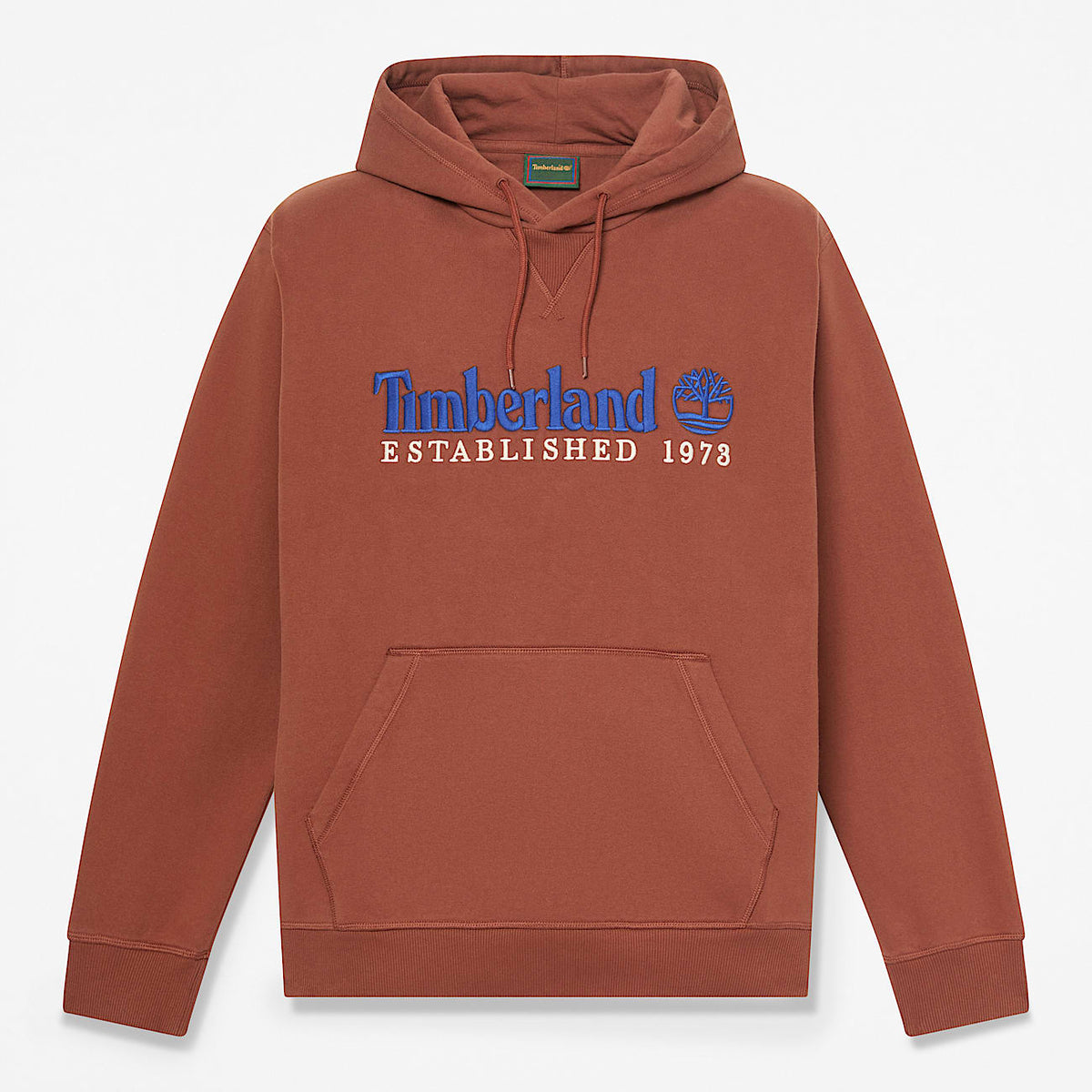 Felpa Uomo Marrone Established 1973 Embroidered Logo Hoodie TBC0YHB6AIM