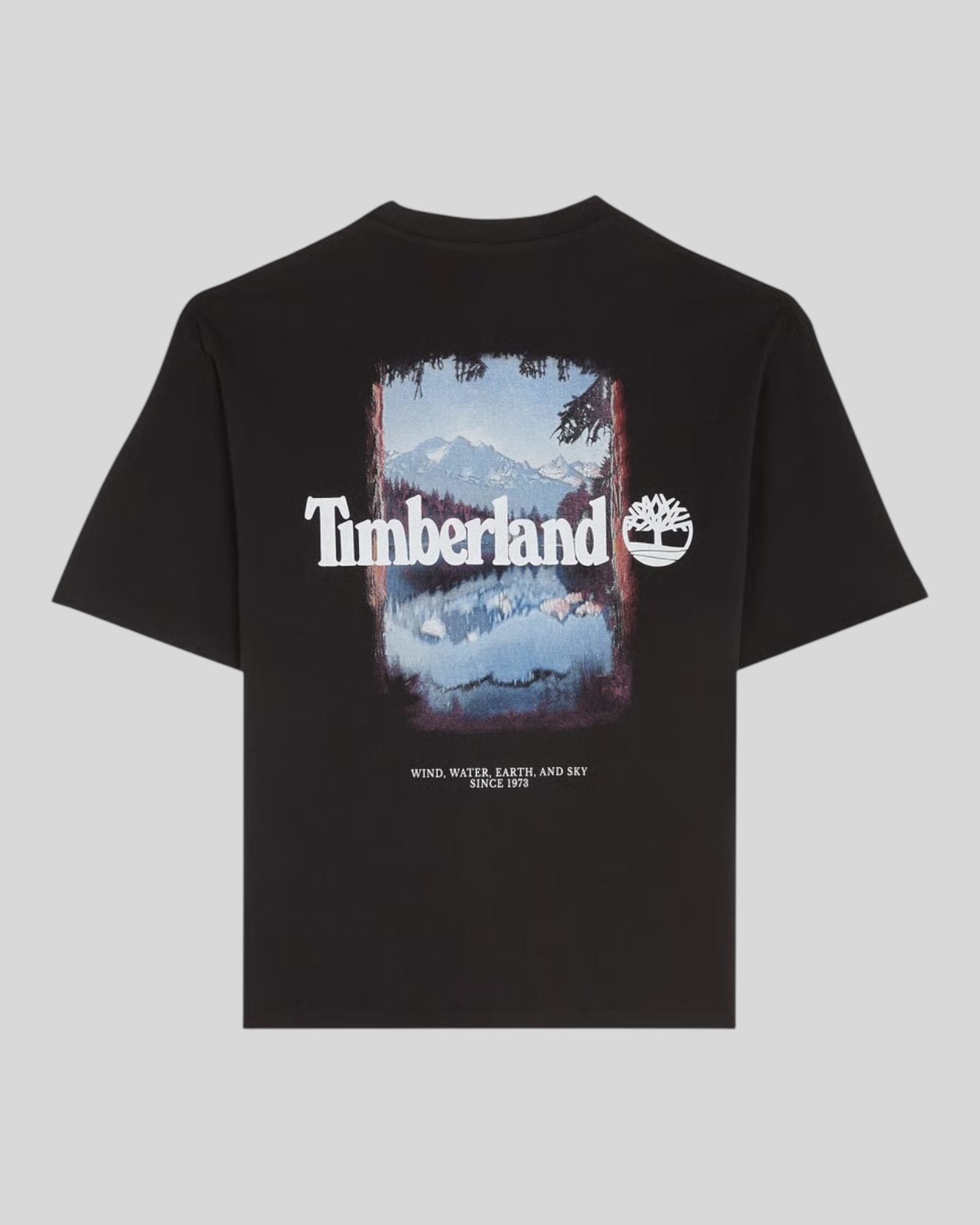 T-Shirt Outdoor Photo Back Tee Nero TB0A5MQR 001 Timberland