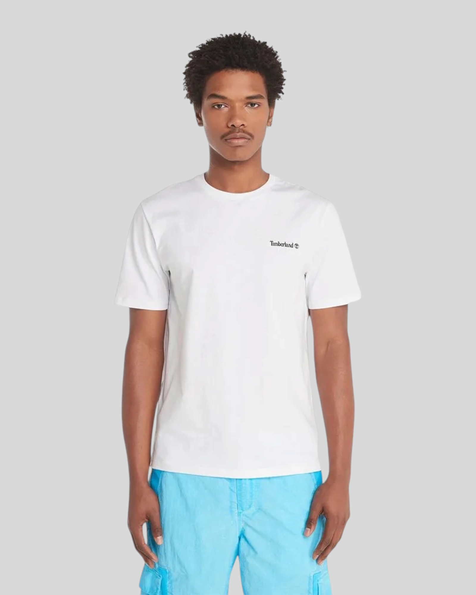 T-Shirt Small Linear Logo Bianco TB0A5QQT100 Timberland