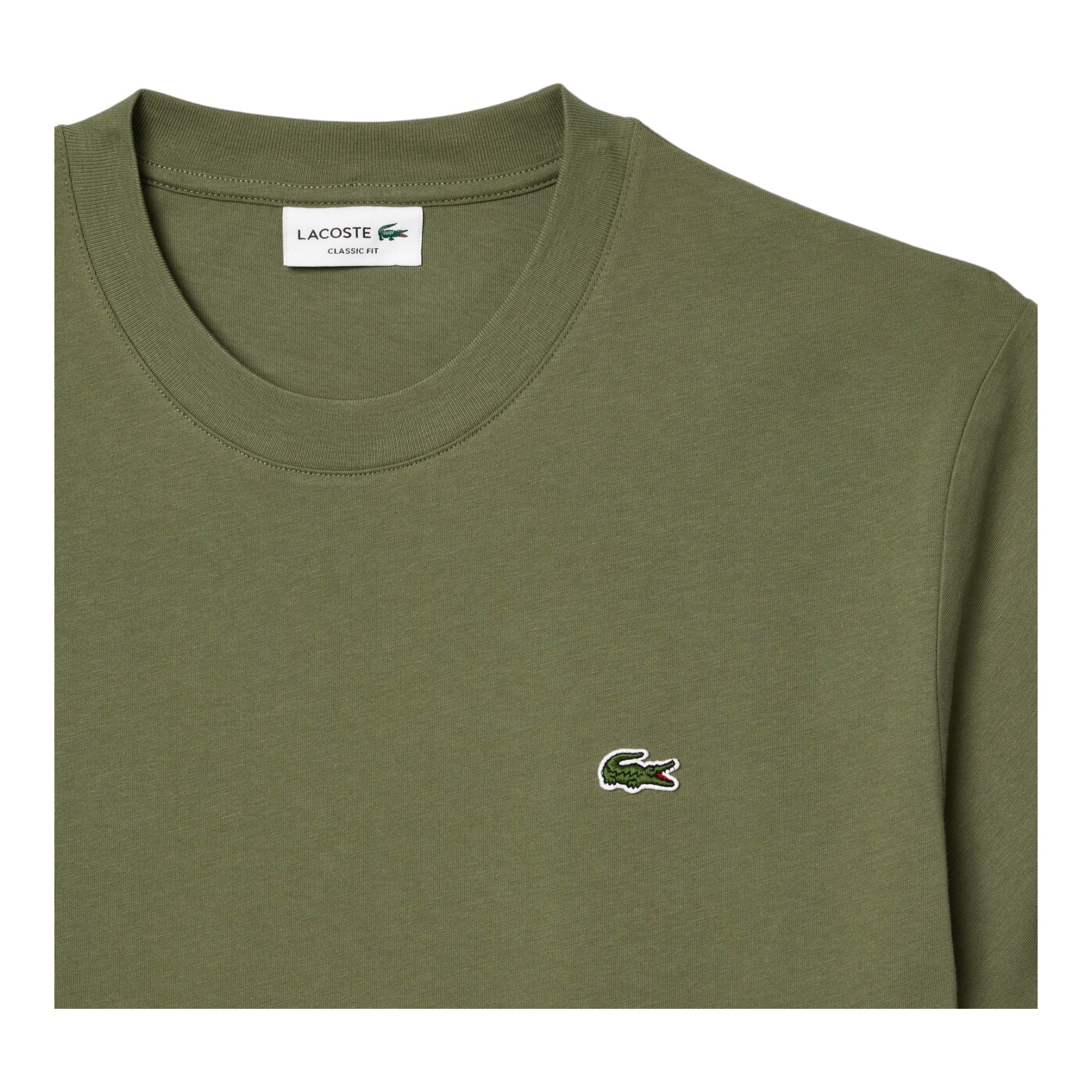 T-Shirt Classic Fit In Jersey Verde Khaki TH731800BMY Lacoste