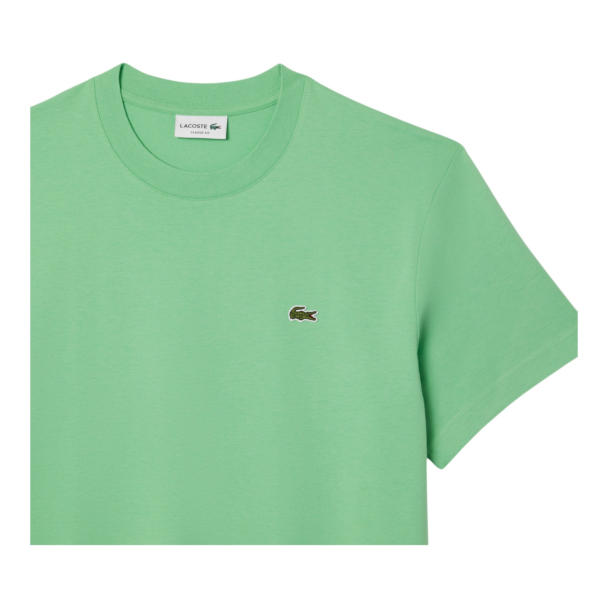 T-Shirt Classic Fit In Jersey Verde TH731800TTF Lacoste