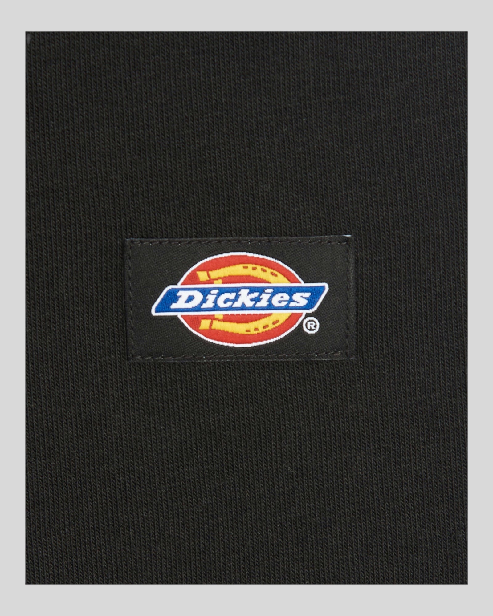 Dickies Oakport Hoodie Black DK0A4XCDBLK1 