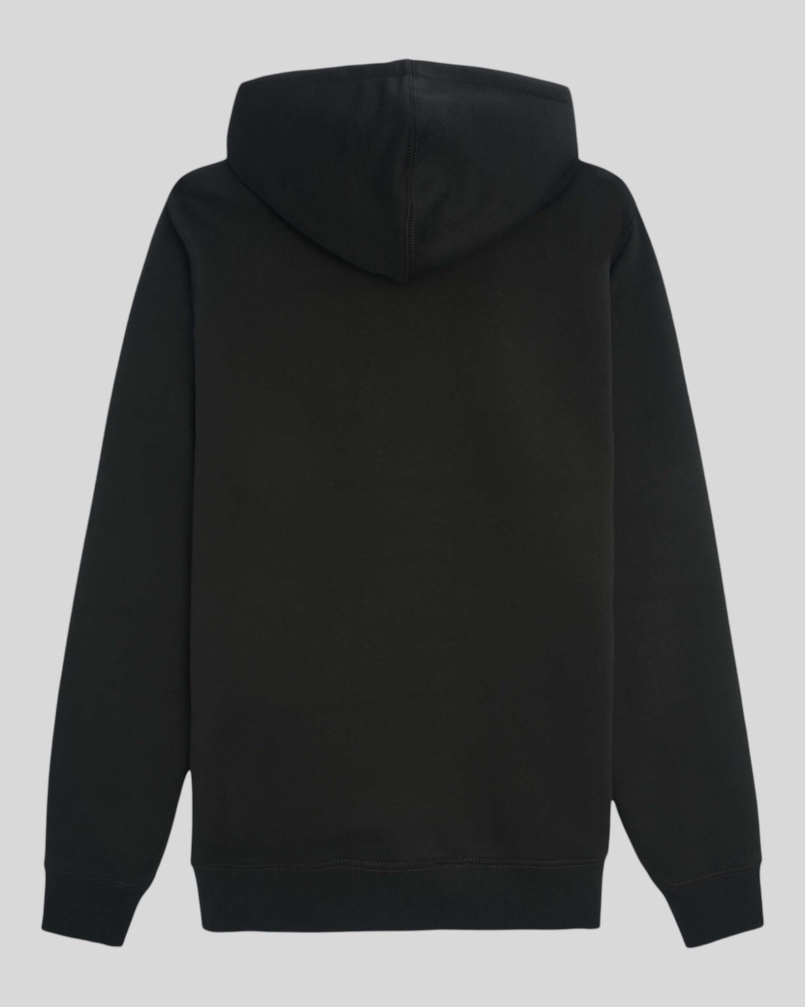 Dickies Oakport Hoodie Black DK0A4XCDBLK1 
