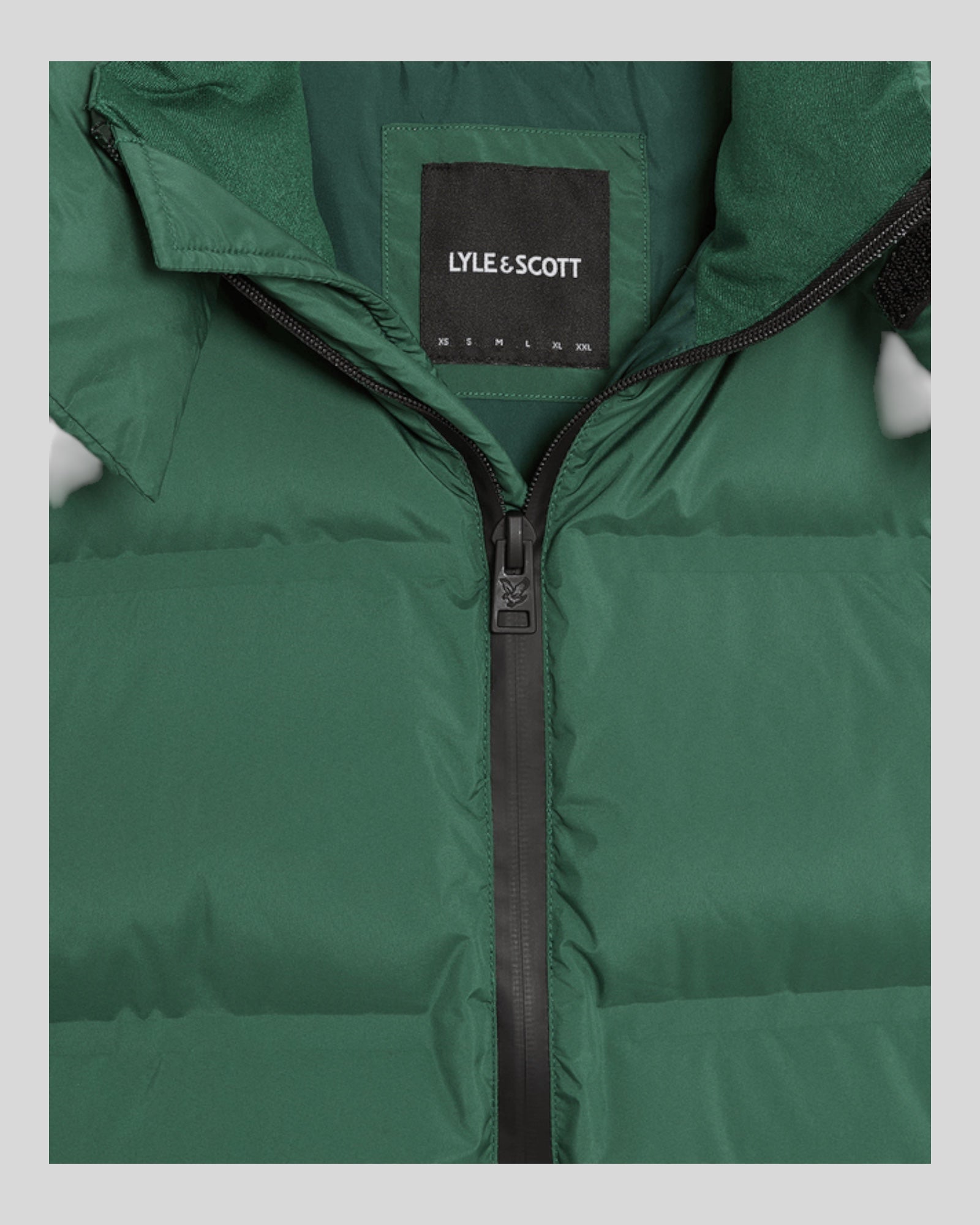 Giubbotto Con Cappuccio Hooded Jacket Puffer Dark Pine JK2317V X88